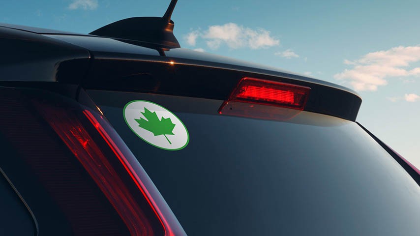 Naklejka zielony liść na szybie samochodu